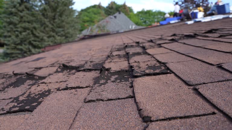 Roof Moss and Algae Removal